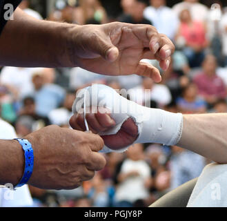 In California, Stati Uniti d'America. 26 Ago, 2018. Los Angeles, CA, Stati Uniti d'America. 26 Ago, 2018. Middleweight campione del pugilato Gennady ?GGG? Allenamenti Golovkin per i tifosi Domenica a Banc della California Stadium. Oggi GGG e Canelo Alvarez ha fatto media day gli allenamenti in preparazione per il loro anticipato rivincita su Settembre 15 a Las Vegas.Foto da Gene Blevins/LA/DailyNews SCNG/ZUMAPRESS Credit: Gene Blevins/ZUMA filo/Alamy Live News Foto Stock