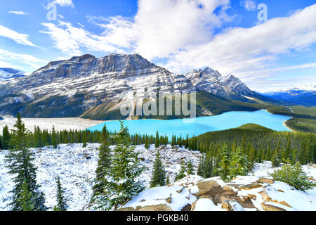 Vista dal vertice di prua di Peyto Lake nel Parco Nazionale di Banff, Alberta, Canada. Foto Stock