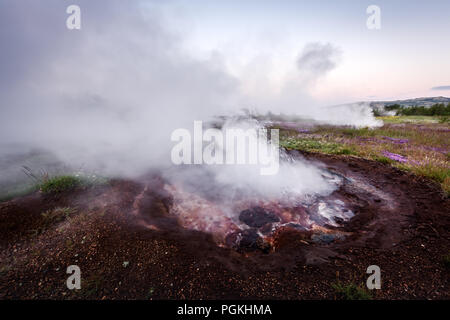 Fumare fumarola sulla valle di Haukadalur Foto Stock