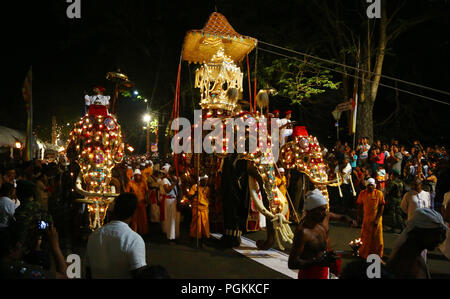 Lo Sri Lanka. 25 Ago, 2018. Gli elefanti decorati per l'Esala Perahera festival è passato di piombo dello Sri Lanka tempio Buddista del dente nella antica capitale sulla collina di Kandy, circa 116 km da Colombo in data 25 agosto 2018. Il festival propone una processione notturna di Kandyan ballerini, fire twirlers, musicisti tradizionali, fuoco acrobatica gli artisti e gli elefanti, raccolta di migliaia di turisti e spettatori da tutta l'isola. Credito: Pradeep Dambarage/Pacific Press/Alamy Live News Foto Stock