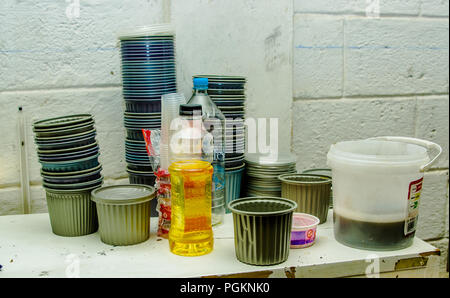 QUITO, ECUADOR, Agosto 21, 2018: Close up di vasetti di plastica e una bottiglia di olio che si trova in cucina, dove rifugio gente specialmente dal Venezuela cook Foto Stock