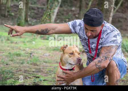 Uomo di addestramento del cane pit bull foresta pet all'aperto Foto Stock