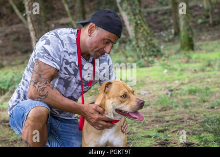 L'uomo gioca a piedi del cane di formazione pit bull foresta pet all'aperto Foto Stock