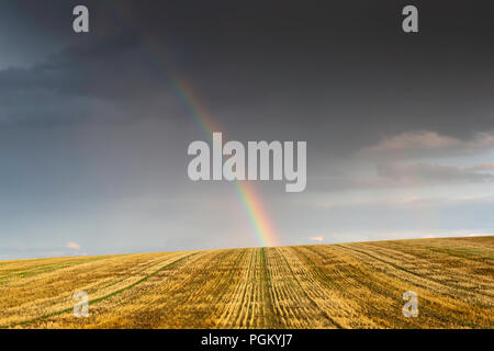 Rainbow su un campo di stoppie vicino Reculver sulla costa della contea del Kent settentrionale, UK. Foto Stock