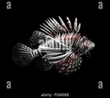 Pesce tropicale. Ritratto di un leone su sfondo nero Illustrazione Vettoriale