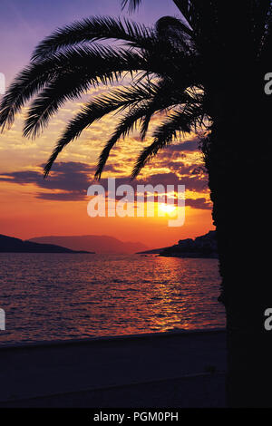 Palm tree silhouette sulla spiaggia durante il bellissimo tramonto Foto Stock