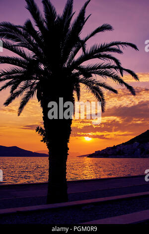 Palm tree silhouette sulla spiaggia durante il bellissimo tramonto Foto Stock