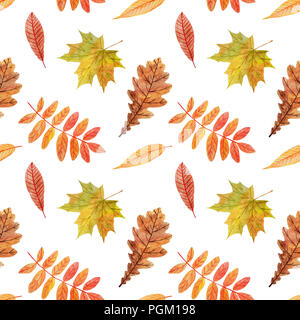 Colorato modello senza cuciture con acquerelli di foglie di autunno su sfondo bianco. Foto Stock