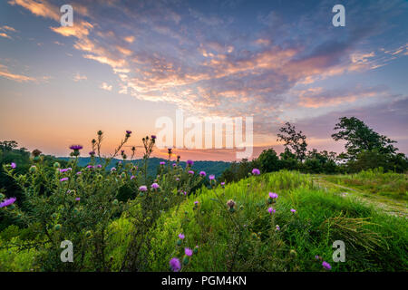 La luce del sole catture sulle nuvole in questa scena al tramonto nel centro di Appalachi. Foto Stock