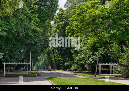 Banco metallico sul viale principale nella foresta a natural old West Park, Sofia, Bulgaria Foto Stock