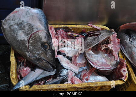 Testa di tonno resti nel mercato del pesce Tsukiji, Tokyo, Giappone Foto Stock