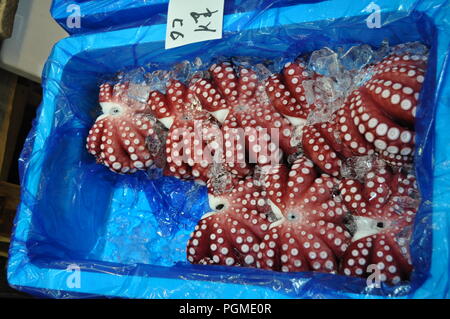 Octopus per la vendita nel mercato del pesce Tsukiji, Tokyo Foto Stock