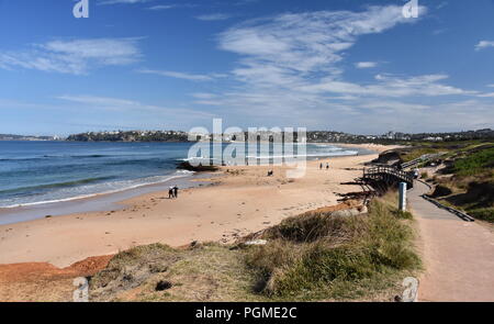 Vista di Dee Why beach (Sydney, Australia) su un soleggiato ma freddo giorno d'inverno. Foto Stock