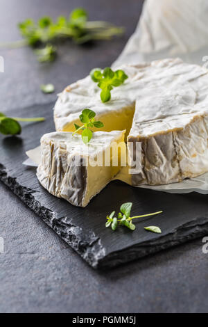 Formaggio camambert da erbe origano sulla scheda di ardesia. Foto Stock