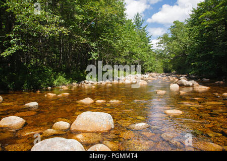 Forcella del nord est Pemigewasset filiale di fiume nel deserto Pemigewasset di Lincoln, New Hampshire USA durante i mesi estivi. Foto Stock