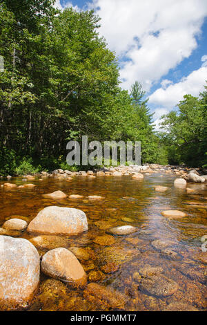 Forcella del nord est Pemigewasset filiale di fiume nel deserto Pemigewasset di Lincoln, New Hampshire USA durante i mesi estivi. Foto Stock
