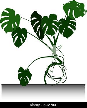 Grandi Monstera palm Illustrazione Vettoriale