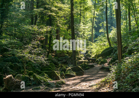 Wanderweg durch die Schlucht Gaishölle a Sasbachwalden, Schwarzwald, Baden-Württemberg, Deutschland | percorso escursionistico attraverso il Gaishölle, Sasbachwald Foto Stock