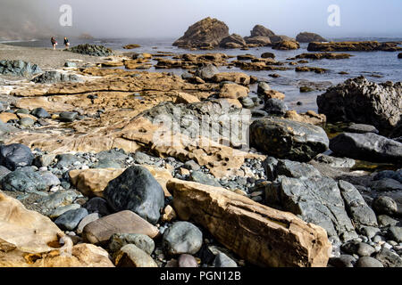 Sombrio Beach, Juan de Fuca Parco Provinciale - vicino a Port Renfrew, Isola di Vancouver, British Columbia, Canada Foto Stock