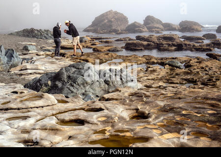 La gente ad esplorare pozze di marea sulla spiaggia Sombrio, Juan de Fuca Parco Provinciale - vicino a Port Renfrew, Isola di Vancouver, British Columbia, Canada Foto Stock