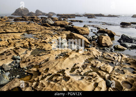 Sombrio Beach, Juan de Fuca Parco Provinciale - vicino a Port Renfrew, Isola di Vancouver, British Columbia, Canada Foto Stock