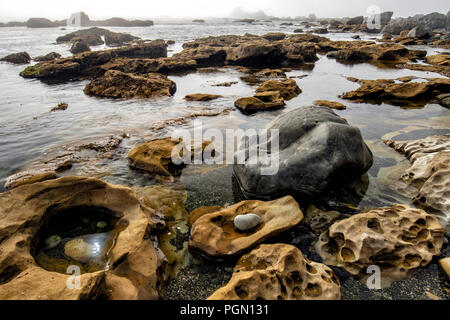 Sombrio Beach, Juan de Fuca Parco Provinciale - vicino a Port Renfrew, Isola di Vancouver, British Columbia, Canada Foto Stock