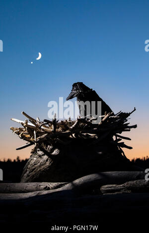 Raven - Driftwood Arte da Paul Lewis - Esquimalt Laguna, Victoria, Isola di Vancouver, British Columbia, Canada Foto Stock