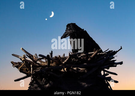 Raven - Driftwood Arte da Paul Lewis - Esquimalt Laguna, Victoria, Isola di Vancouver, British Columbia, Canada Foto Stock