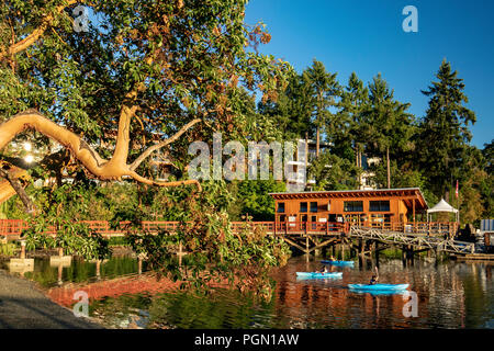 Il corbezzolo sovrastante struttura Brentwood Bay, Penisola Saanich, Isola di Vancouver, British Columbia, Canada Foto Stock