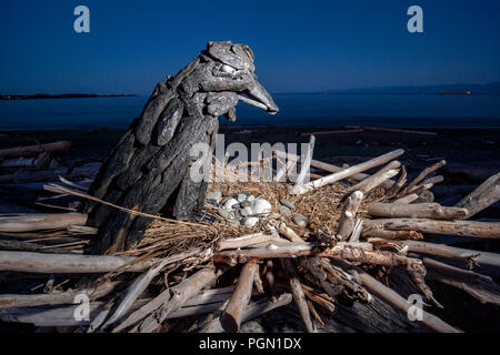 Raven - Driftwood Arte da Paul Lewis - Esquimalt Laguna, Victoria, Isola di Vancouver, British Columbia, Canada Foto Stock