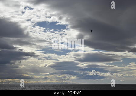 Debole alba alla stagione invernale in sud america Foto Stock