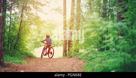 Bambino su una bicicletta nella foresta in mattina presto Foto Stock