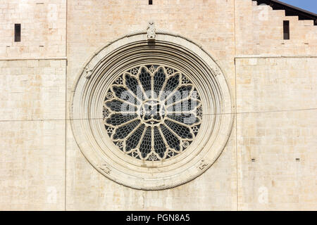 Finestra di rose sul Duomo di Trento, Italia Foto Stock