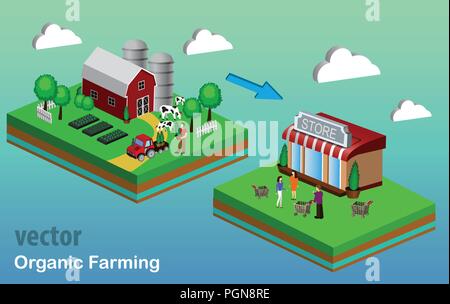 Organico il concetto di mercato. Illustrazione vettoriale di un negozio di ortaggi e frutta. Illustrazione Vettoriale