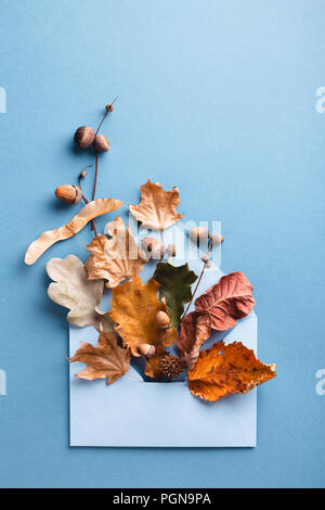 Foglie secche in busta blu su sfondo blu. Concetto di autunno card. Foto Stock