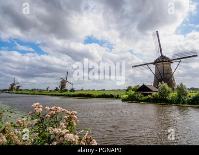 Mulini a vento di Kinderdijk, Sito Patrimonio Mondiale dell'UNESCO, South Holland, Paesi Bassi Foto Stock