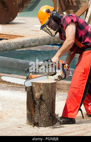 Jack lombare dimostrando catena verticale di taglio attraverso il segmento di registro Foto Stock