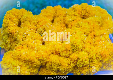 Bella calendula ghirlanda fiore per Brahma culto di immagine Foto Stock