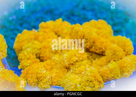 Bella calendula ghirlanda fiore per Brahma culto di immagine Foto Stock