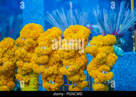 Bella calendula ghirlanda fiore per Brahma culto di immagine Foto Stock