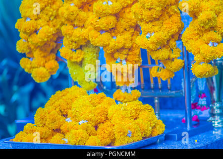 Bella calendula ghirlanda fiore per Brahma culto di immagine Foto Stock