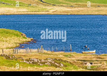 Molla di brughiera viste nell'isola di Lewis, Scozia Foto Stock