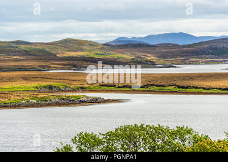 Molla di brughiera viste nell'isola di Lewis, Scozia Foto Stock