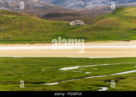 Molla di brughiera viste nell'isola di Lewis, Scozia Foto Stock
