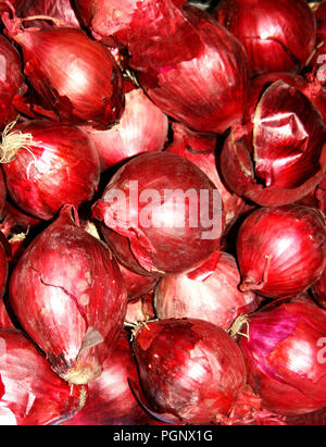 Sacco di cipolle rosse in gruppo. Cipolle rosse sono cultivar di cipolla (Allium cepa) con rosso porpora pelle e polpa bianca tingono di rosso. Foto Stock