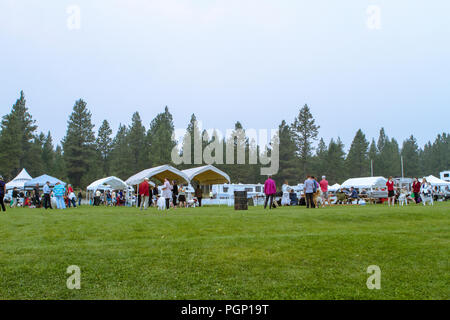 Cranbrook annuale di Dog Show, mostrando l'anello, fornitore tende, veiw dell intera impostato Foto Stock