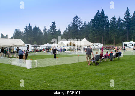 Cranbrook annuale di Dog Show, mostrando l'anello, fornitore tende, veiw dell intera impostato Foto Stock