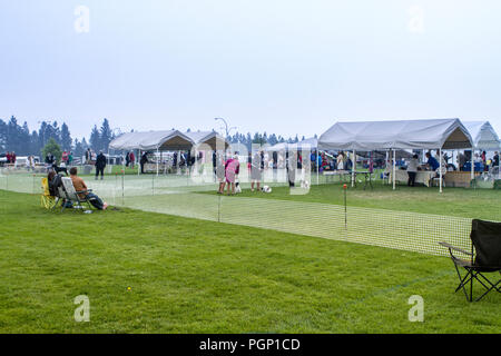 Cranbrook annuale di Dog Show, mostrando l'anello, fornitore tende, veiw dell intera impostato Foto Stock