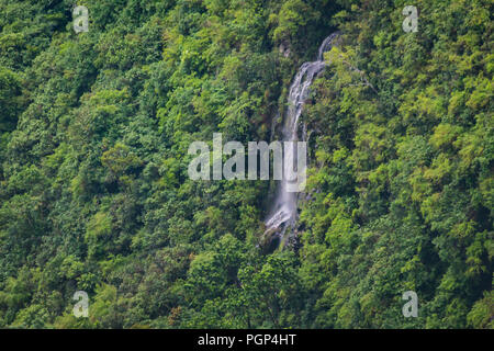 Cascata sulla giungla dell'isola tropicale giungla di Mauritius Foto Stock