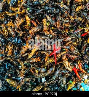 Popolare in Asia se sono i bug fritto come grasshopper e worm di seta, per citarne solo due. Foto Stock
